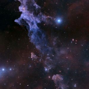 Meet your Posher, Cherise